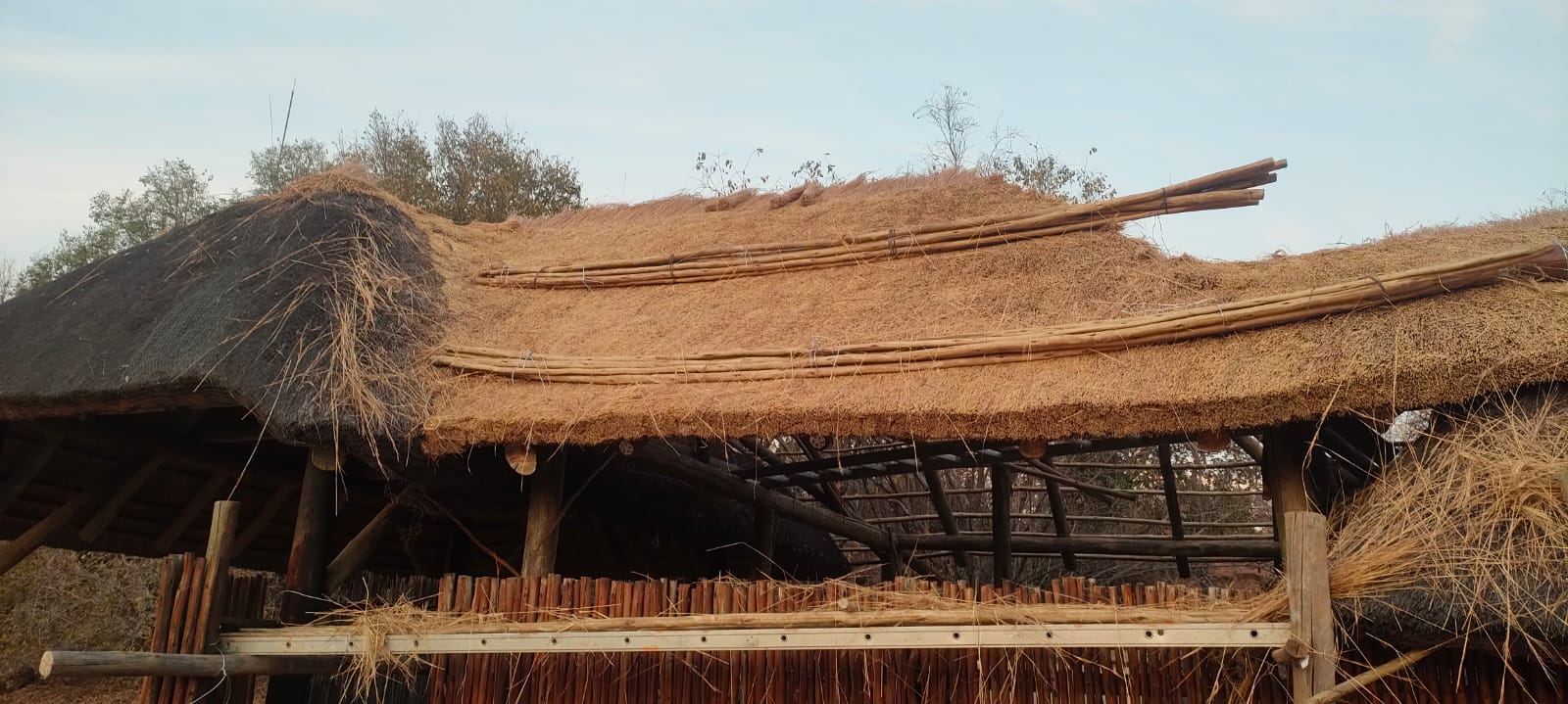 Thatch Roofs